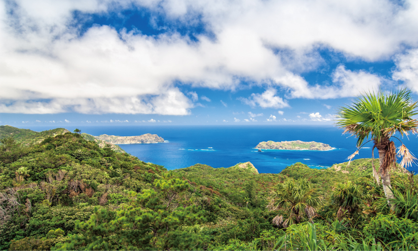 キャンプイメージ